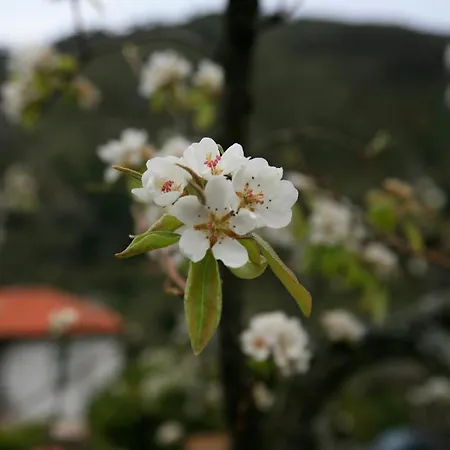 Landsted Quinta Das Heredias