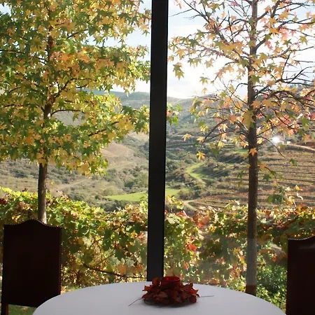 Quinta Das Heredias * Tabuaço