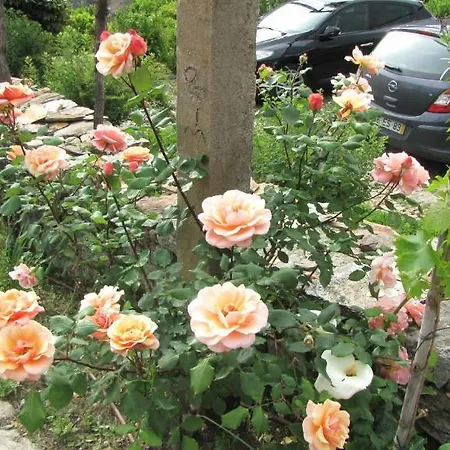 Landsted Quinta Das Heredias Tabuaço